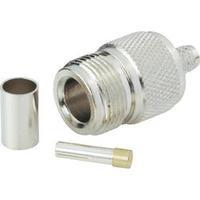 N connector Socket, straight 50 ? BKL Electronic 404076 1 pc(s)