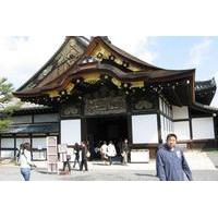 Nara Afternoon Tour of Todaiji Temple, Deer Park and Kasuga Shrine from Kyoto