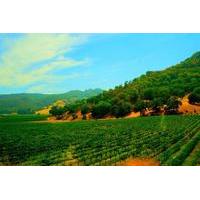 Napa Valley Wine Country Tour