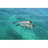 Nassau Reef Snorkeling Adventure