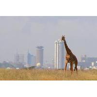 nairobi national park guided day tour