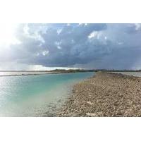 Nassau Private Nature Charter