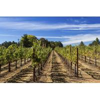 Napa and Sonoma Wine Tour from San Francisco