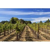 napa and sonoma wine tour from san francisco