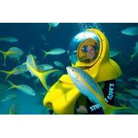 Nassau SUB Bahamas Adventure