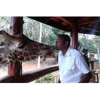 Nairobi Private Small-Group Guided Tour
