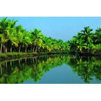 Nautica Kochi Shore Excursion: Alleppey Backwater Houseboat Tour