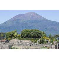 Naples City and Pompeii Half-Day Sightseeing Tour from Sorrento