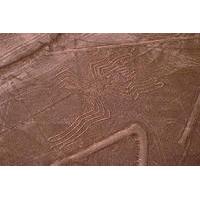 Nazca Lines Air Tour and Ballestas Islands Full-Day Trip from Lima