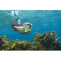 Nassau Shore Excursion: Bahamas Snorkel Adventure