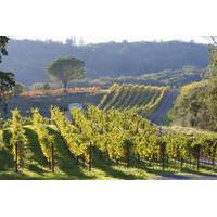 Napa Valley Wine Tour from San Francisco