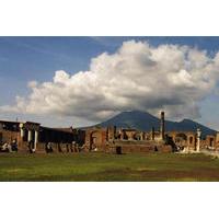 Naples Shore Excursion: Mt Vesuvius and Pompeii Day Trip from Naples