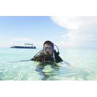 nassau shore excursion resort diving course