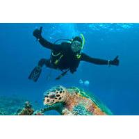 Nassau Shore Excursion: 2-Tank Dive Adventure