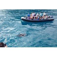 Na Pali Coast Snorkel and Rafting Adventure