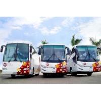 Nadi Arrival Shared Transfer: Airport to Hotel