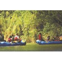 nature wildlife safari float tour from la fortuna arenal