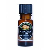 Natural By Nature Oils Cinnamon Leaf Essential Oil 10ml