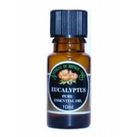 Natural By Nature Oils Eucalyptus Essential Oil 10ml