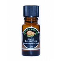 Natural By Nature Oils Sage Essential Oil 10ml