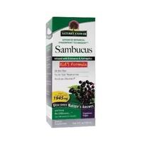 Natures Answer Sambucus Kids Formula 120ml (1 x 120ml)