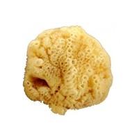 Natural Sea Sponge 15-16 cm