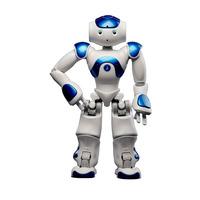 NAO Robot Academic Edition Blue