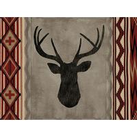 Navajo I By Tania Bello