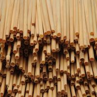 Natural Straws Pack