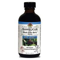 Nature\'s Answer Sambucus Kids (120ml)