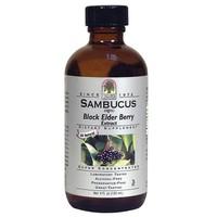 Nature\'s Answer Sambucus Elderberry (120ml)