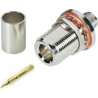 N/A 419516 BKL Electronic 419516...