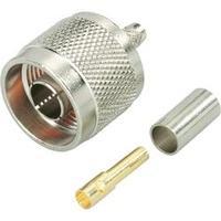 N/A 419503 BKL Electronic 419503...