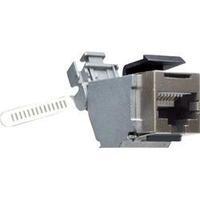 N/A Socket, straight Y-CONJACK-1...