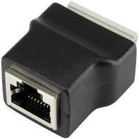 N/A Socket, vertical vertical LT-RJSTA Black C