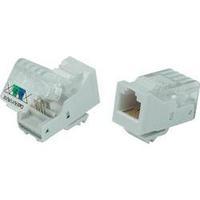 N/A Socket, straight 93014c937 Ecru Conrad Com