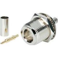 N/A 419514 BKL Electronic 419514...