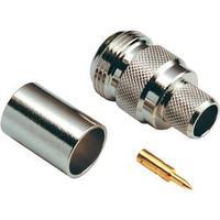 N/A 419506 BKL Electronic 419506...