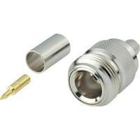 N/A 419505 BKL Electronic 419505...