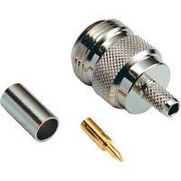 N/A 419504 BKL Electronic 419504...