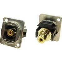 N/A Adapter, mount CP30232M Cliff Content: 1 pc(s)