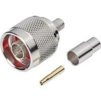 N/A 419501 BKL Electronic 419501...
