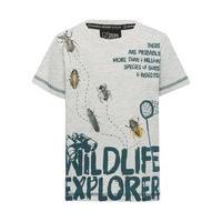 Natural History Museum boys grey short sleeve insect graphic print wildlife explorer slogan t-shirt - Grey Marl