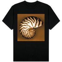 nautilus shell