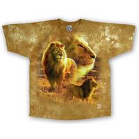 Nature - Lion Pride