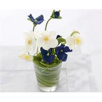 Narcissus & Black Pansy Artificial Flower of the Month - March