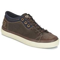 napapijri jakob mens shoes trainers in brown