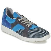 napapijri hank mens shoes trainers in blue