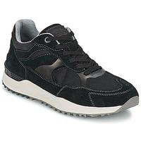 napapijri edward mens shoes trainers in black