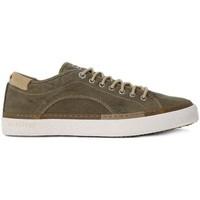 napapijri jacob khaki mens shoes trainers in multicolour